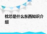 枕芯是什么东西知识介绍