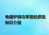 电磁炉烧功率管的原因知识介绍