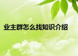业主群怎么找知识介绍