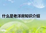 什么是老洋房知识介绍
