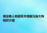 有没有人知道实木地板污染大吗知识介绍