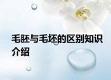 毛胚与毛坯的区别知识介绍