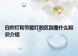 白炽灯和节能灯的区别是什么知识介绍