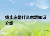 拔步床是什么意思知识介绍