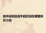 地坪漆和自流平的区别在哪里知识介绍