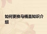 如何更换马桶盖知识介绍