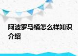 阿波罗马桶怎么样知识介绍