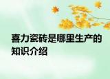 喜力瓷砖是哪里生产的知识介绍