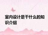 室内设计是干什么的知识介绍