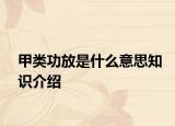 甲类功放是什么意思知识介绍