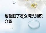 地毯脏了怎么清洗知识介绍
