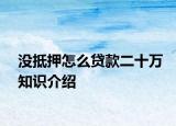 没抵押怎么贷款二十万知识介绍