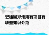 碧桂园郑州所有项目有哪些知识介绍