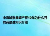 中海城紫鑫阁产权40年为什么开发商是谁知识介绍