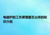 电磁炉的工作原理是怎么样的知识介绍