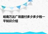 哈南万达广场首付多少多少钱一平知识介绍