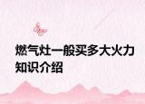 燃气灶一般买多大火力知识介绍
