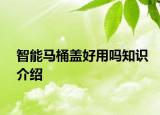 智能马桶盖好用吗知识介绍