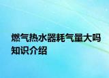 燃气热水器耗气量大吗知识介绍
