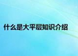 什么是大平层知识介绍