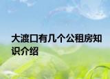 大渡口有几个公租房知识介绍