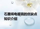 石墨烯电暖画的优缺点知识介绍