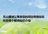 乐山麓城公寓楼盘的周边有哪些医院是哪个板块知识介绍