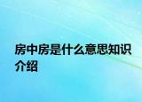 房中房是什么意思知识介绍