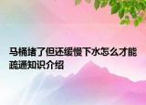 马桶堵了但还缓慢下水怎么才能疏通知识介绍