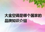 大金空调是哪个国家的品牌知识介绍