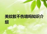 美纹胶不伤墙吗知识介绍