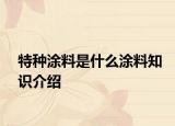 特种涂料是什么涂料知识介绍