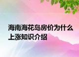 海南海花岛房价为什么上涨知识介绍