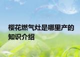 樱花燃气灶是哪里产的知识介绍