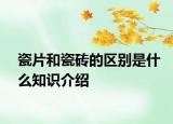 瓷片和瓷砖的区别是什么知识介绍