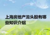 上海房地产龙头股有哪些知识介绍