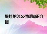 壁挂炉怎么供暖知识介绍
