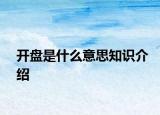 开盘是什么意思知识介绍