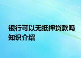 银行可以无抵押贷款吗知识介绍