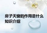 房子天窗的作用是什么知识介绍