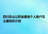 四川乐山公积金查询个人账户怎么查知识介绍