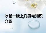 冰箱一晚上几度电知识介绍