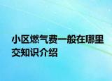 小区燃气费一般在哪里交知识介绍