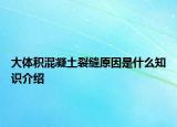 大体积混凝土裂缝原因是什么知识介绍
