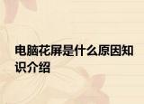 电脑花屏是什么原因知识介绍