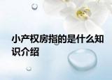 小产权房指的是什么知识介绍