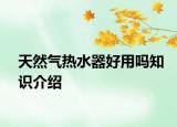 天然气热水器好用吗知识介绍