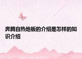 奔腾自热地板的介绍是怎样的知识介绍