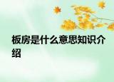 板房是什么意思知识介绍