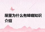 屋里为什么有蟑螂知识介绍